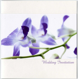 Orchid_wedding_1