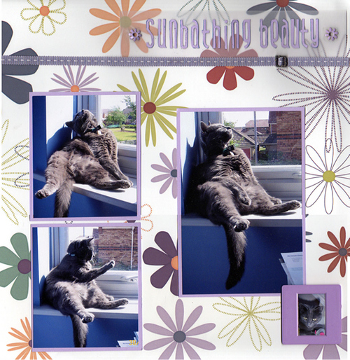 Mojo_sunbathing